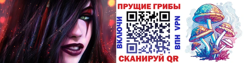 Купить где  Белинский  Псилоцибиновые грибы мухоморы 